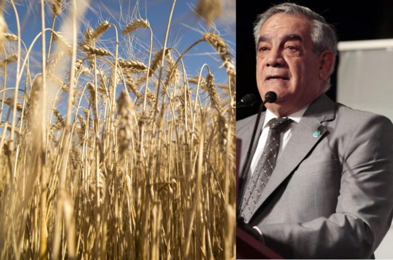 Productores rechazaron medida que fija voluacutemenes exportables de maiacutez y trigo