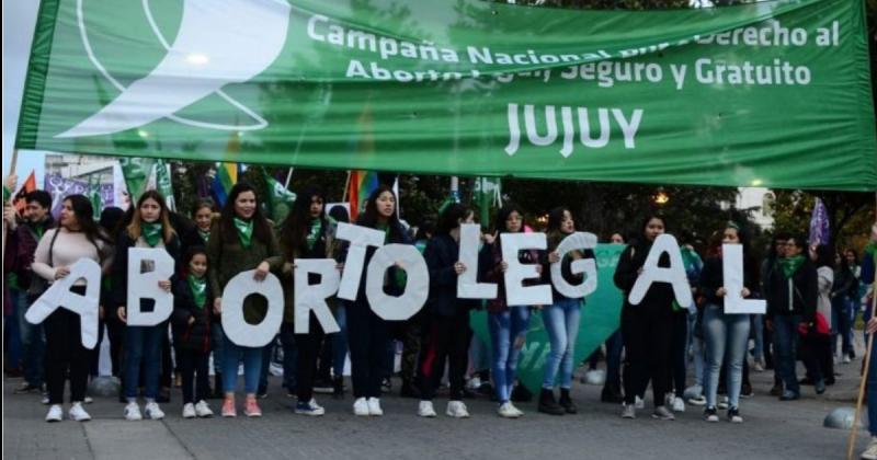 Jujuy es la tercera provincia que maacutes abortos realiza