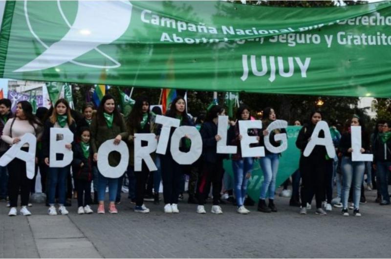 Jujuy es la tercera provincia que maacutes abortos realiza