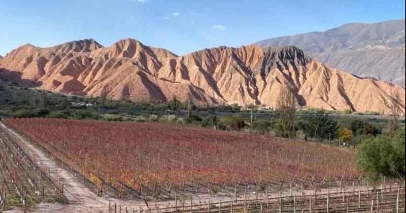 Huichaira Vineyard lanzoacute su primer vino- Cielo Arriba