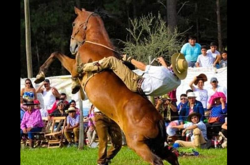 Festival del caballo criollo coleto y guardamonte en El Fuerte