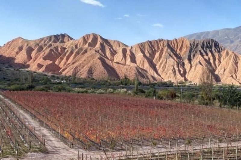 Huichaira Vineyard lanzoacute su primer vino- Cielo Arriba