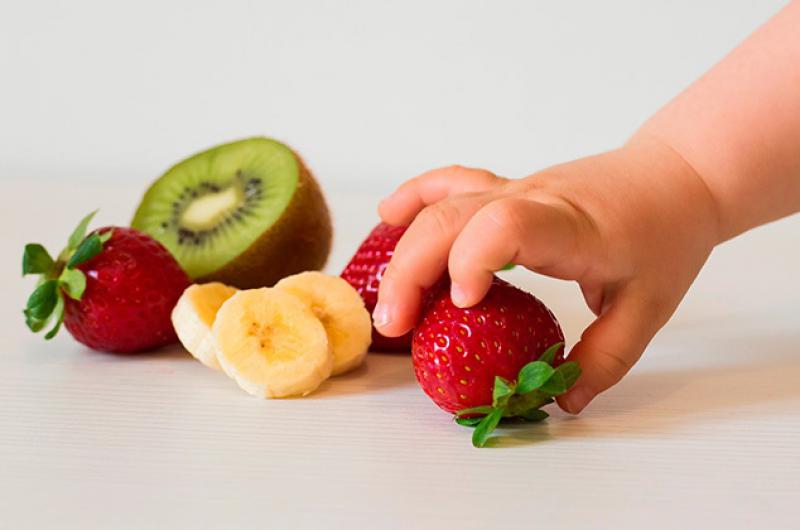 Recomendaciones sobre alimentacioacuten saludable para nintildeos nintildeas y adolescentes