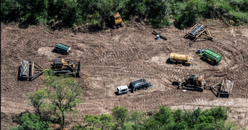 Preocupante aumento de la deforestacioacuten ilegal en el norte argentino