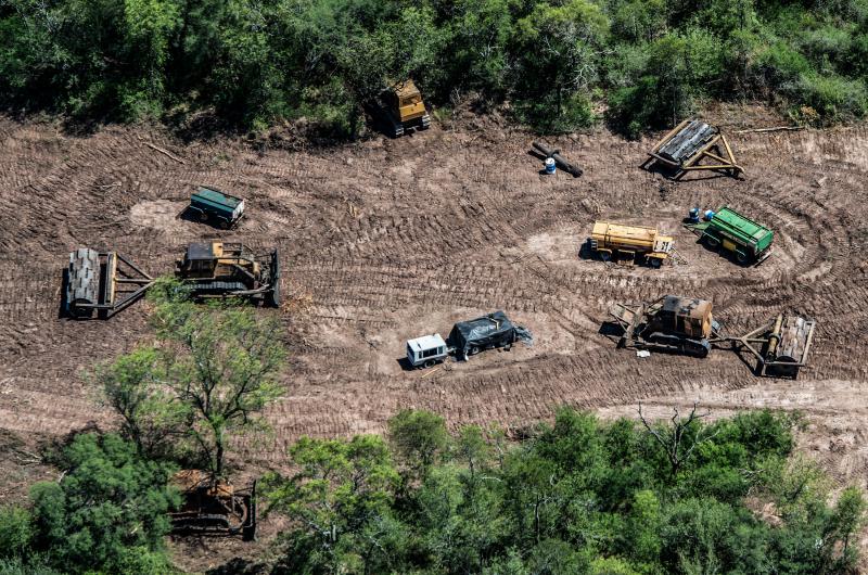 Preocupante aumento de la deforestacioacuten ilegal en el norte argentino