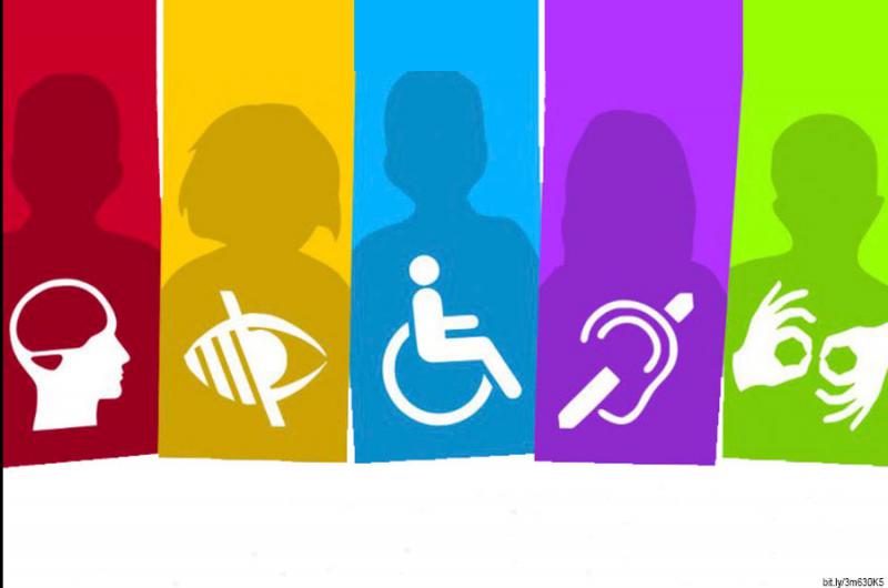 Proyectos de personas con discapacidad