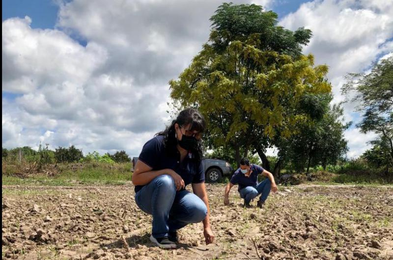 Intensifican acciones para mejorarla productividad de los suelos jujentildeos