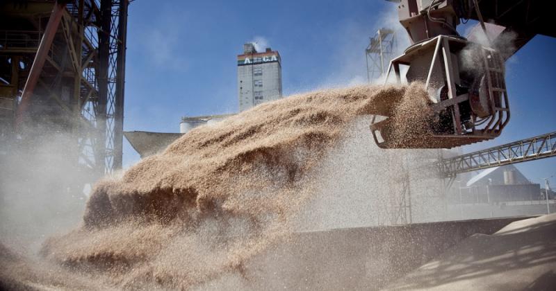 Liquidacioacuten reacutecord de los agroexportadores por casi 3000 millones de doacutelares en marzo