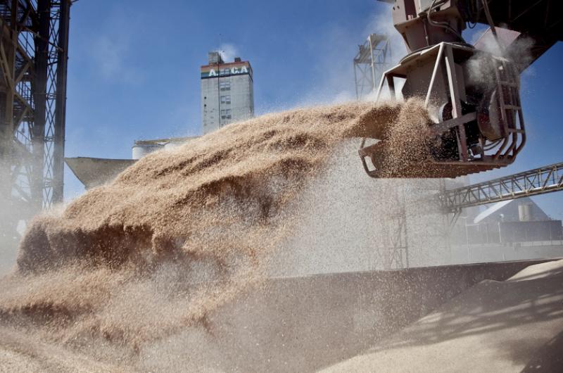 Liquidacioacuten reacutecord de los agroexportadores por casi 3000 millones de doacutelares en marzo