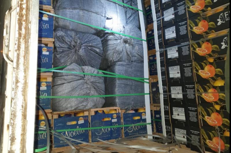 Ocultaban 800 kilos de hojas de coca entre cajas de ciacutetricos