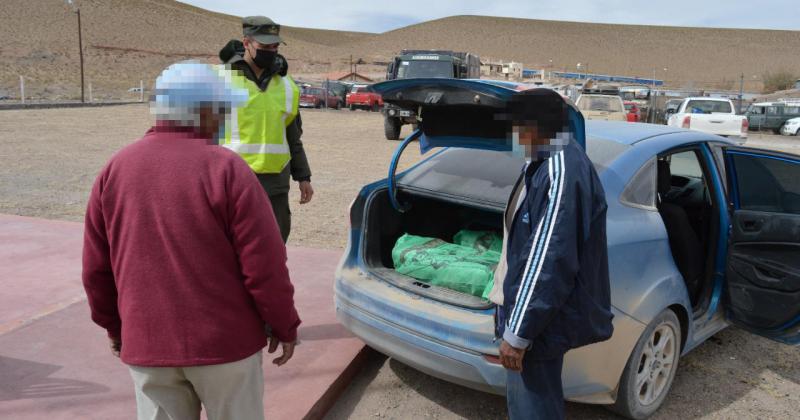 Decomisan maacutes de una tonelada de hojas de coca en dos procedimientos