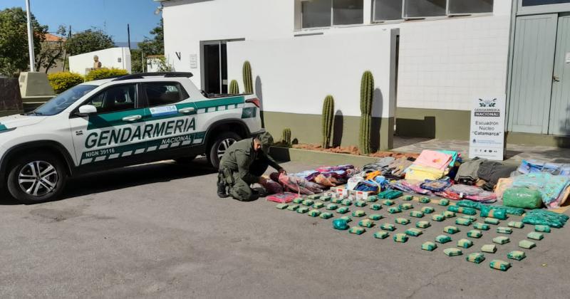 Conductor escondiacutea 95 kilos de hojas de coca entre frutas y verduras