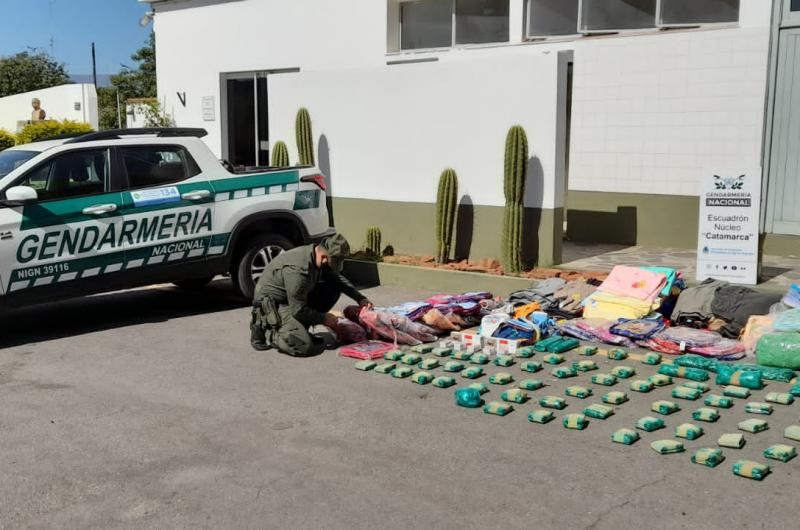 Conductor escondiacutea 95 kilos de hojas de coca entre frutas y verduras