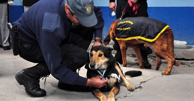 Se tomaron un remiacutes para trasladar 12 kilos de cocaiacutena- terminaron detenidos