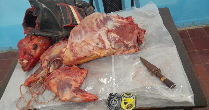 Detenido por faenar un animal protegido