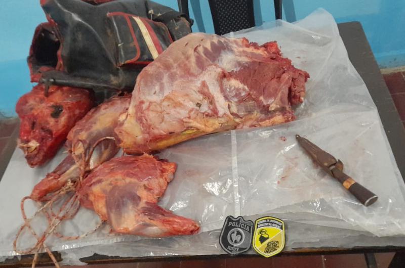 Detenido por faenar un animal protegido