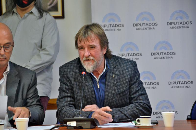 Rizzotti preside la Comisioacuten de Transporte de la Caacutemara de Diputados