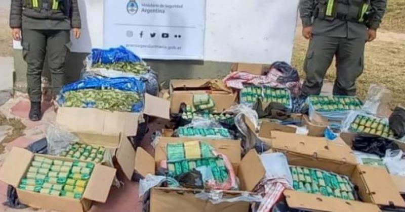 Ocultaban 111 kilos de hojas de coca en encomiendas