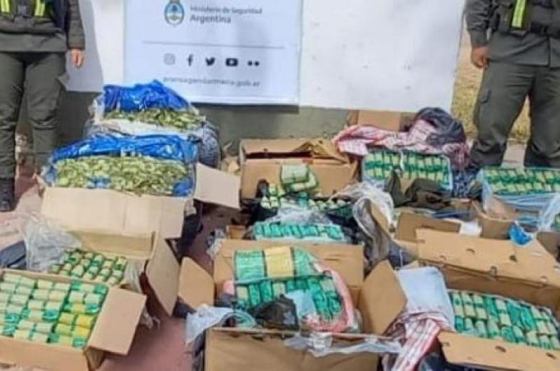 Ocultaban 111 kilos de hojas de coca en encomiendas