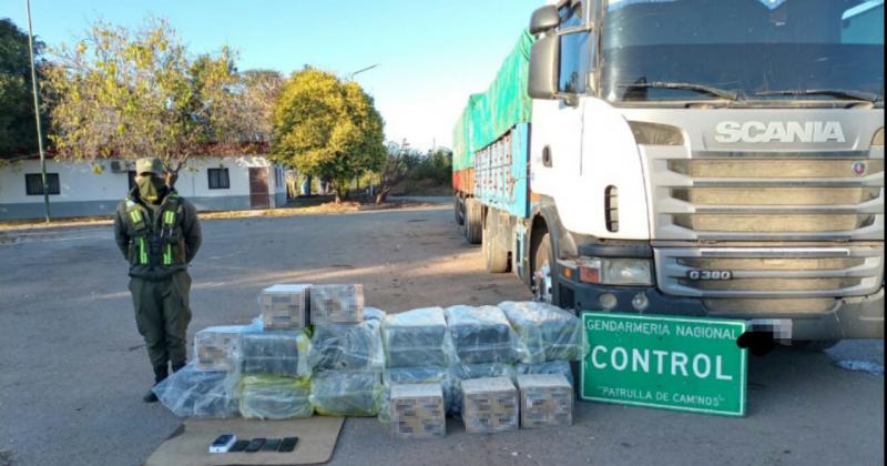 Contrabandeaban hojas de coca y bica en una carga de madera