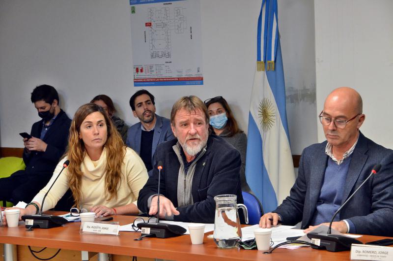 Rizzotti destacoacute el trabajo de la Comisioacuten de Transporte para buscar solucioacuten para el interior