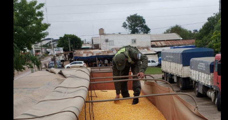 Decomisan 130 toneladas de granos que eran transportados ilegalmente