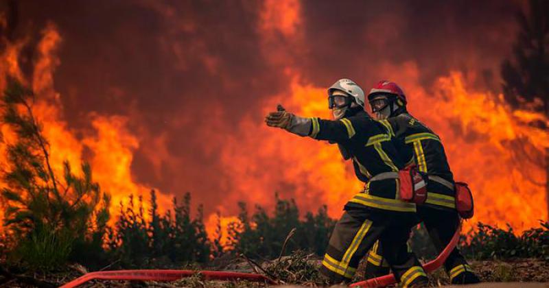Europa registra reacutecords histoacutericos de calor y pavorosos incendios forestales