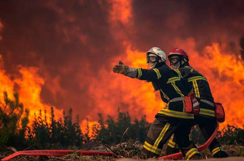 Europa registra reacutecords histoacutericos de calor y pavorosos incendios forestales