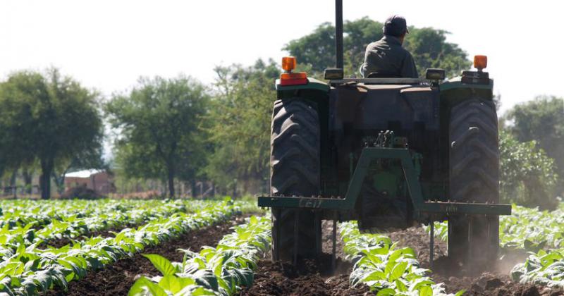 Tabacaleros piden mediacioacuten del Defensor del Pueblo por costos de servicios e insumos