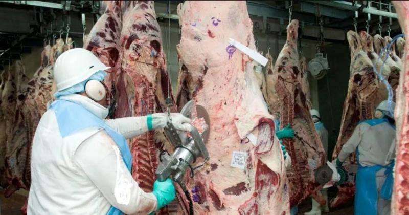 El Gobierno permitiraacute aumentar las exportaciones de carne en un 15-en-porciento-