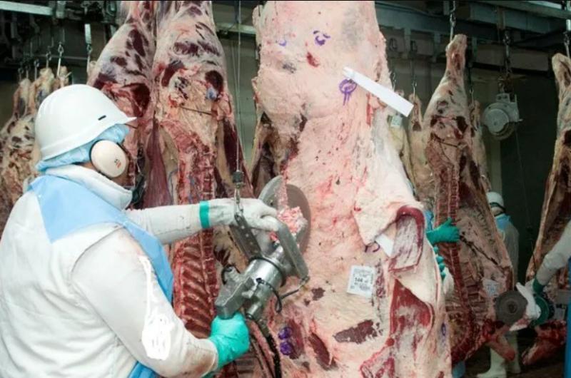 El Gobierno permitiraacute aumentar las exportaciones de carne en un 15-en-porciento-