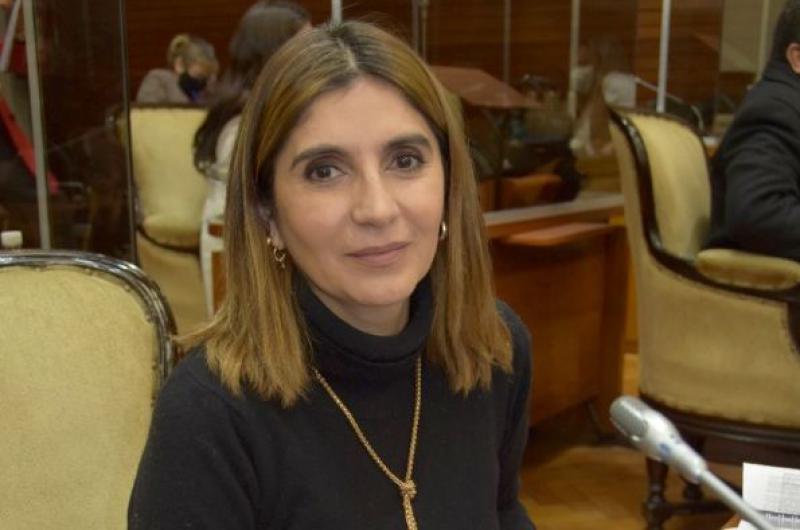 Diputada Ferreyra acompantildea reclamo de usuarios por cierre de bocas de atencioacuten al puacuteblico