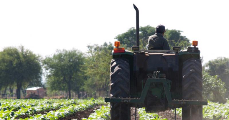 Nacioacuten transfirioacute maacutes de 2394 millones del Fondo Especial de Tabaco