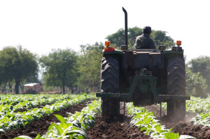 Nacioacuten transfirioacute maacutes de 2394 millones del Fondo Especial de Tabaco