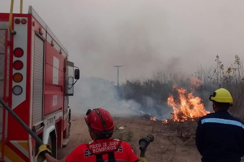 Bomberos combatieron voraz incendio de pastizales