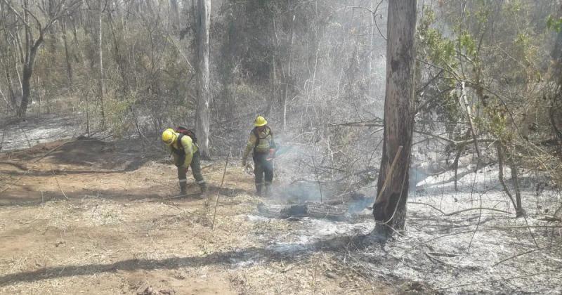 Fiscaliacutea de Estado presentoacute una denuncia penal por incendios intencionados