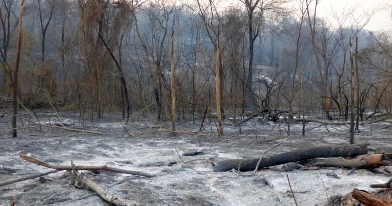Incendio Forestal en las Yungas ampliaraacuten las horas de trabajo