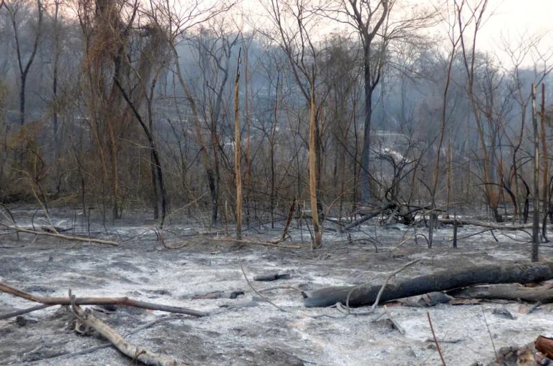 Incendio Forestal en las Yungas ampliaraacuten las horas de trabajo