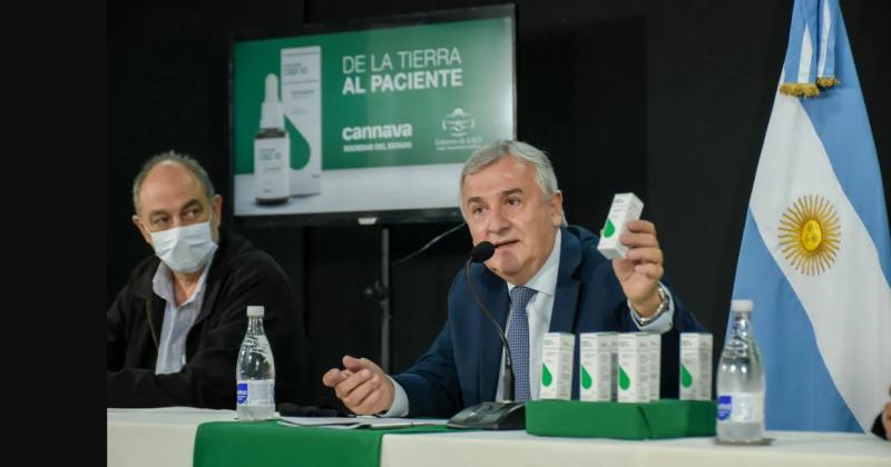 ANMAT habilitoacute a Jujuy para producir cannabis medicinal