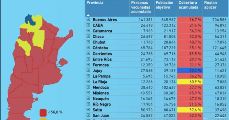 Jujuy lidera la vacunacioacuten contra el sarampioacuten y la rubeola con un 70-en-porciento-