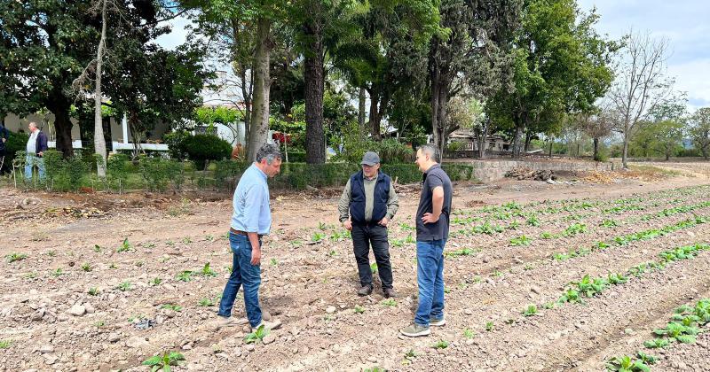 Destacan apoyo de Agricultura de la Nacioacuten a la actividad tabacalera en el Noa y Nea