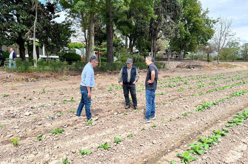 Destacan apoyo de Agricultura de la Nacioacuten a la actividad tabacalera en el Noa y Nea