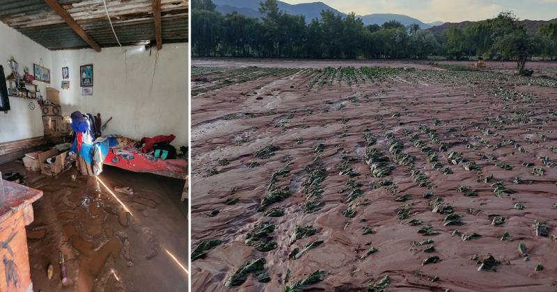 Tormenta en Uquiacutea- 50 familias evacuadas y peacuterdidas en cultivos