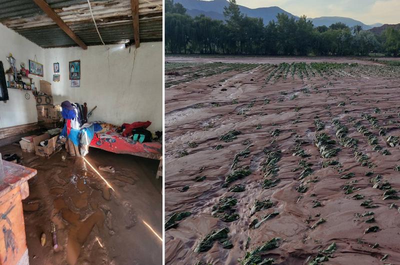 Tormenta en Uquiacutea- 50 familias evacuadas y peacuterdidas en cultivos