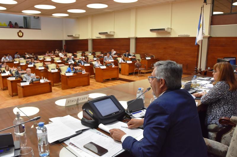 La Legislatura aproboacute en sesioacuten extraordinaria la Ley de Endometriosis