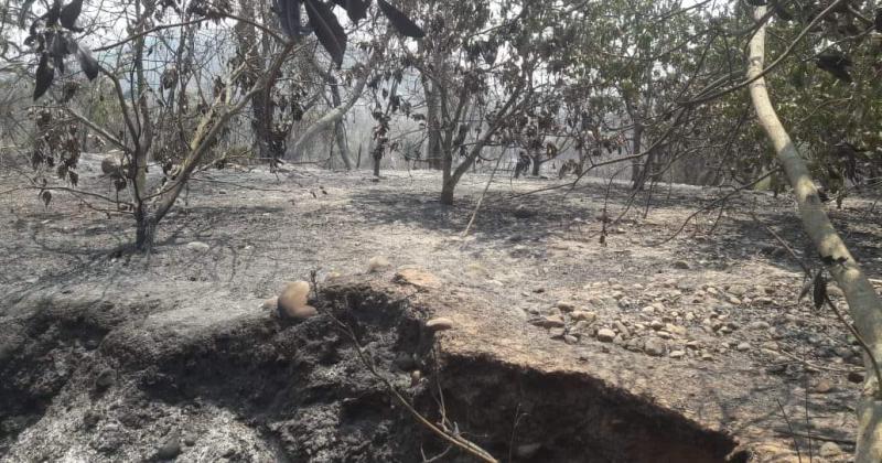 Por las lluvias no quedan focos de incendios activos en Jujuy