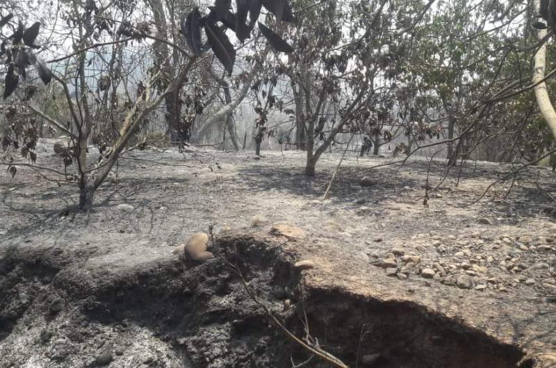 Por las lluvias no quedan focos de incendios activos en Jujuy