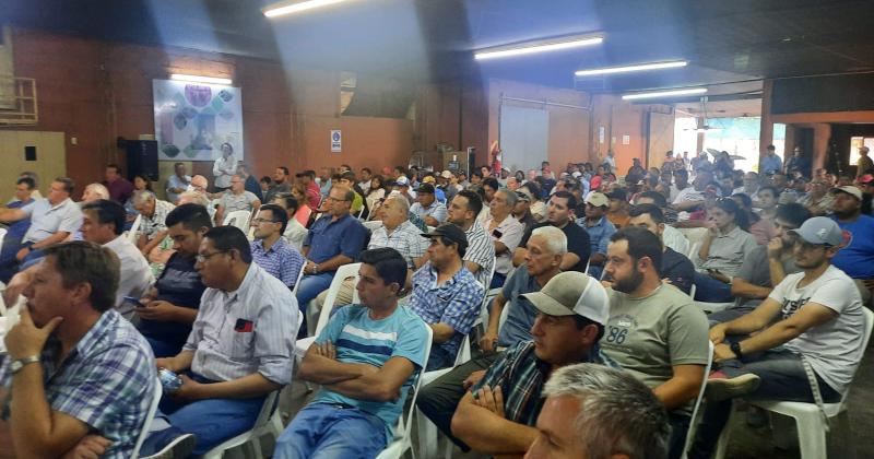 Productores no estaacuten de acuerdo con el precio provisorio del tabaco