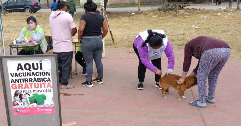 El 2022 fue un antildeo reacutecord para las campantildea de vacunacioacuten