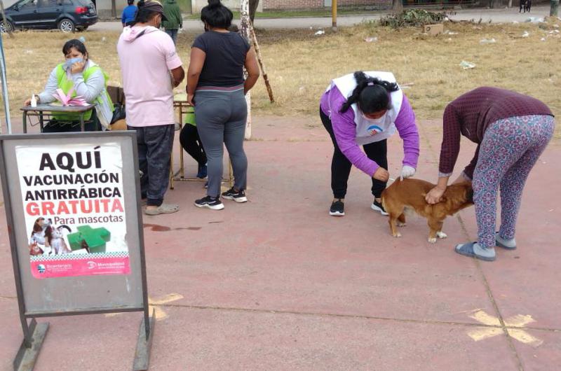 El 2022 fue un antildeo reacutecord para las campantildea de vacunacioacuten